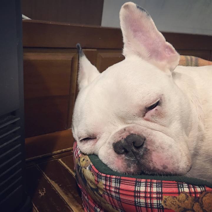 1d51dd27 9a8d 4a11 bb7c 1860e7d9a41a