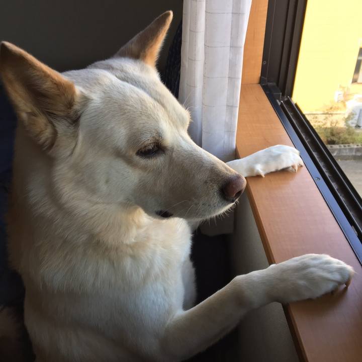 1d520de4 bc82 4dfd ae4b e8ca27cf9edf