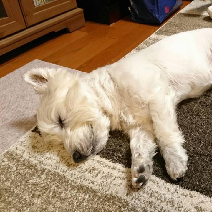 1d521479 51e5 43d1 af24 f5a9607eeea0