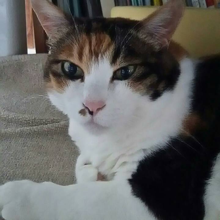 1d521bb9 8f62 4b39 9412 85ebab64766e