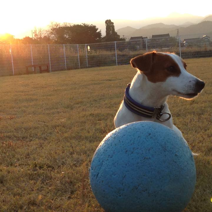 1d5256c0 d1de 467a a3d9 3be26eeaa12e