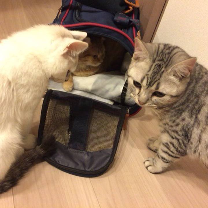 1d5261dd ca7d 4db6 9bcd ce3204e2302a