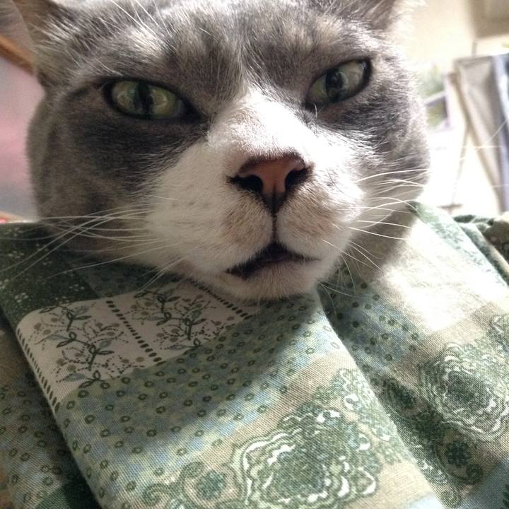 1d526d20 5f33 42a7 97bb 37198c90c8aa