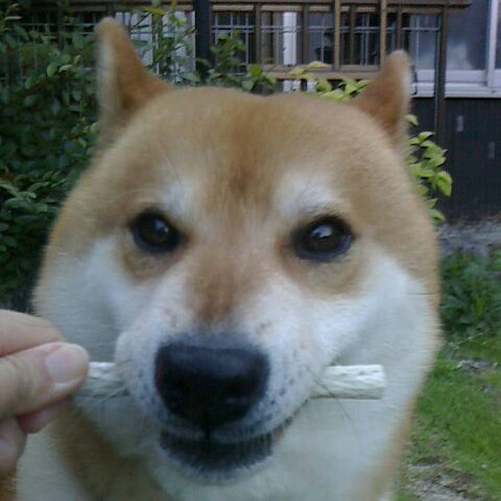 1d528ad7 995b 4333 a576 9507ff215db0