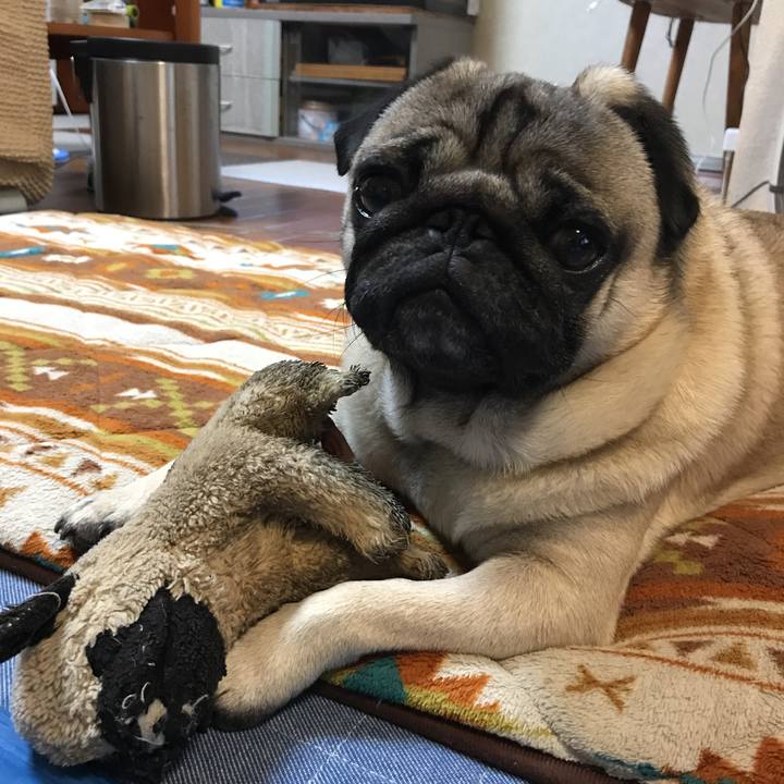 1d529ad2 e23b 4d62 a0c3 0907f4c4973b