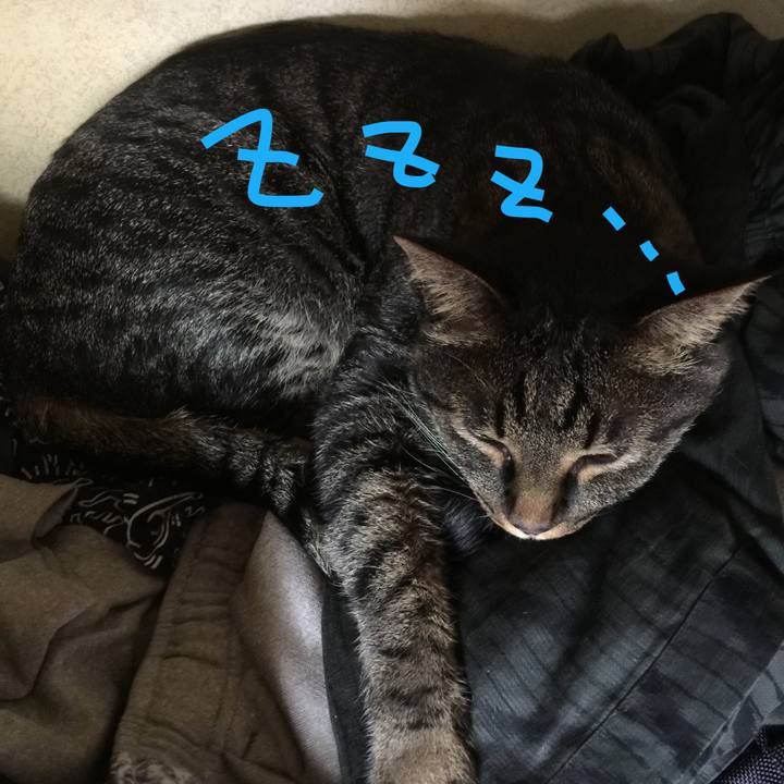 1d52ca57 4789 458b b9e1 60b16171224d