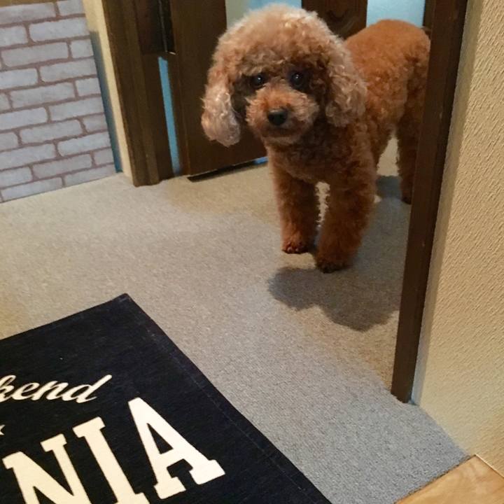 1d52cedf b745 42b3 bbce 8a49f358f742