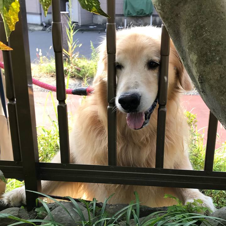 1d52f4e5 aa65 422f 9aef 7285b890df72