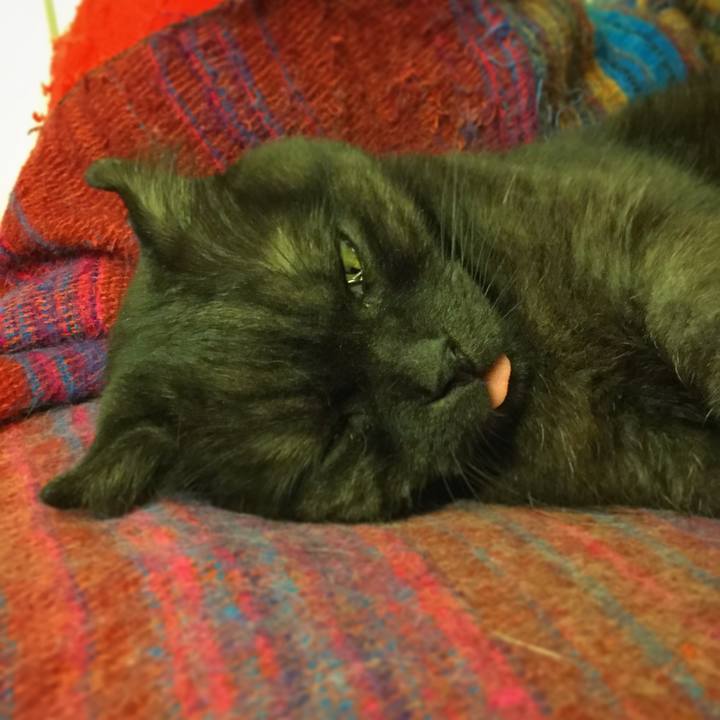 1d534429 ee4a 4512 9f40 04e46af3db51