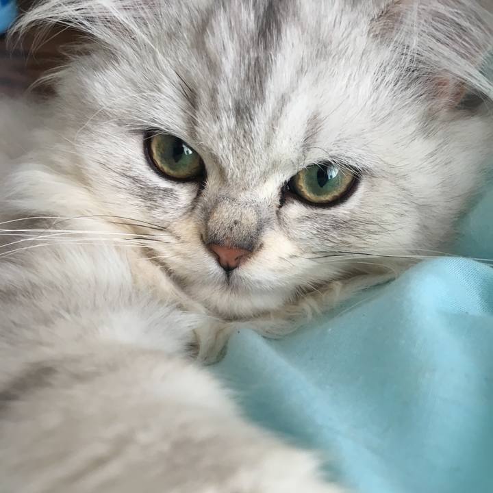 1d53c884 c3e8 43dd a0e3 aaa2b9d48407