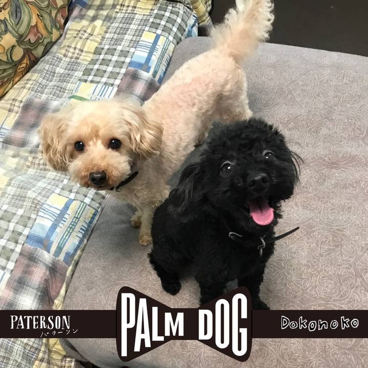 1d54b4bc 111f 49f5 a97a f33a18114dae