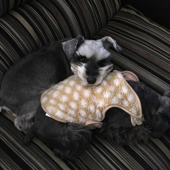 1d54d448 6172 41bd b993 f3e86b4826c3