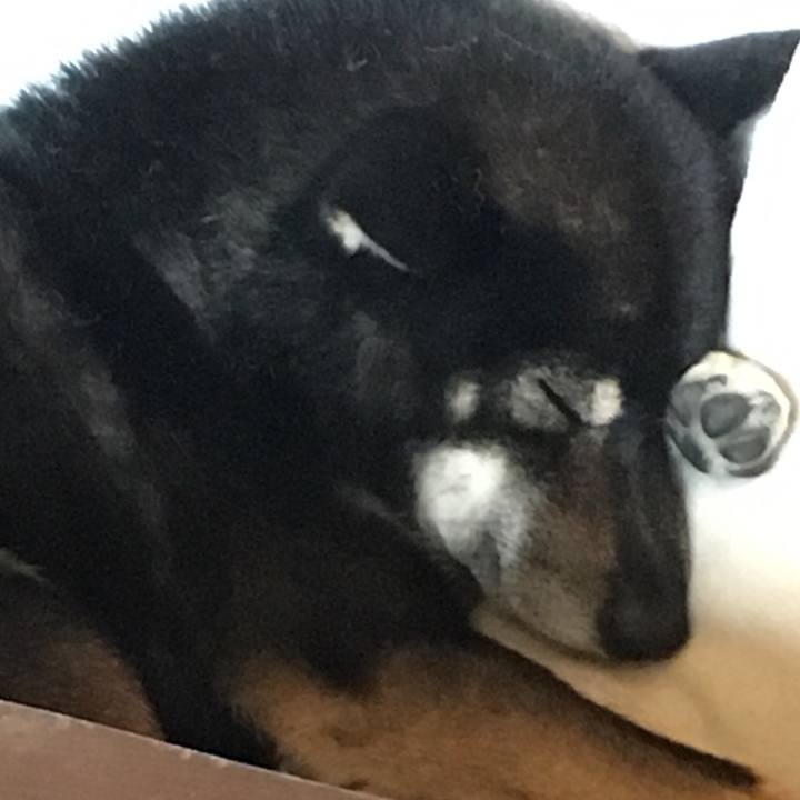 1d54d82e d9a8 4047 8fec 6c7d777b3634