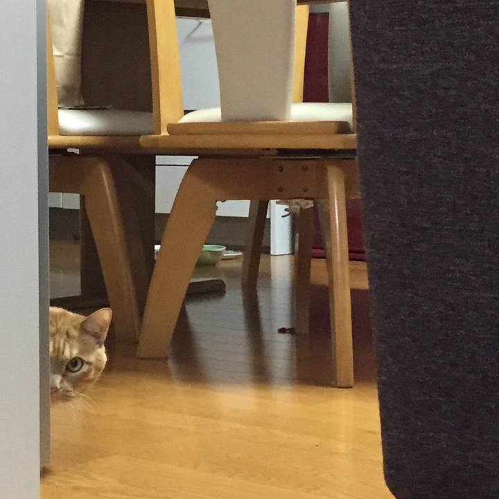 1d554114 936e 48d5 af0f 478a5c66d483