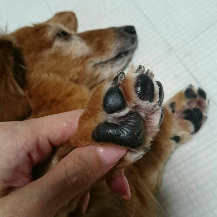 1d5546b3 0bff 4007 8813 b471ea4564c1