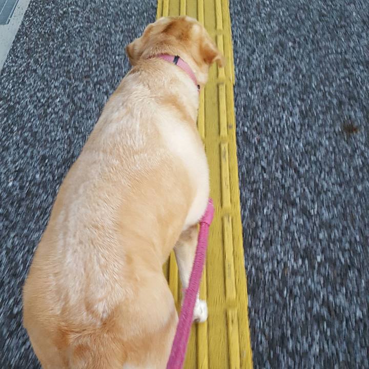 1d5564c8 69d6 4523 b369 fdaf4bf97453