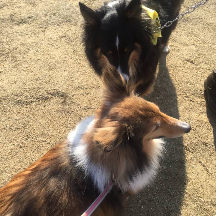 1d563984 c5b2 4980 b6f4 9e51ea710ed3