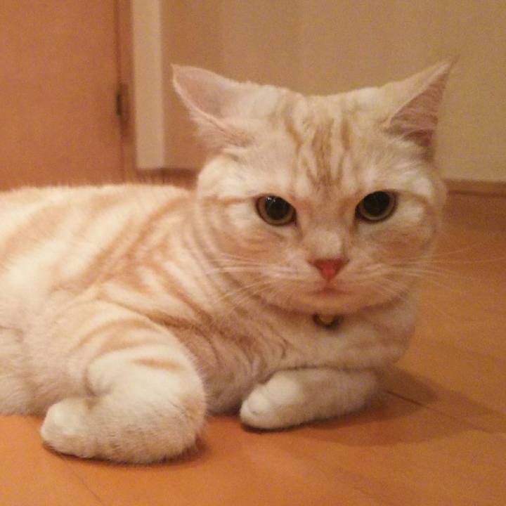 1d5701e2 eed9 4e50 ab3c 90754f79b3ad