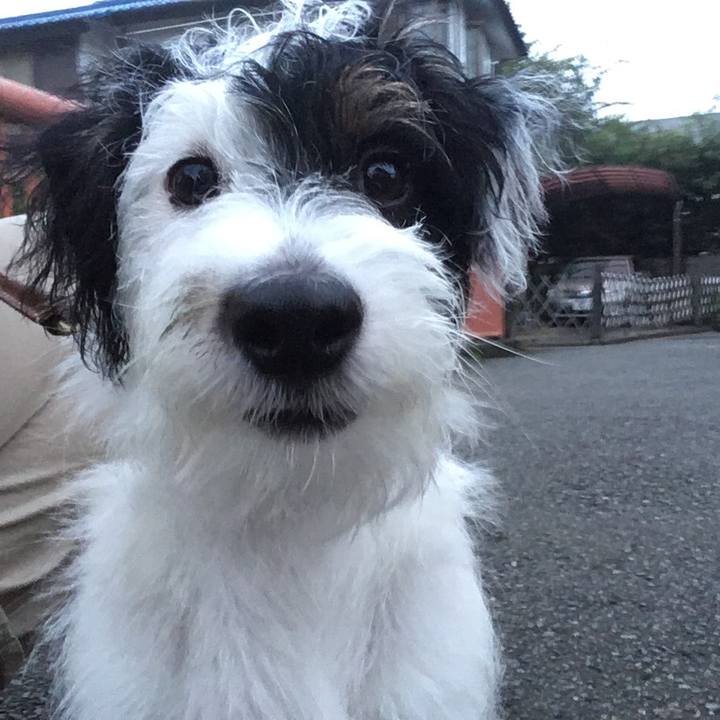 1d572928 e165 4b29 94b3 fcdc41eae524