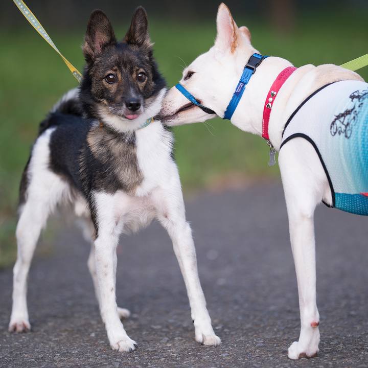 1d574f90 3af9 42c6 be1c 5722bc372482