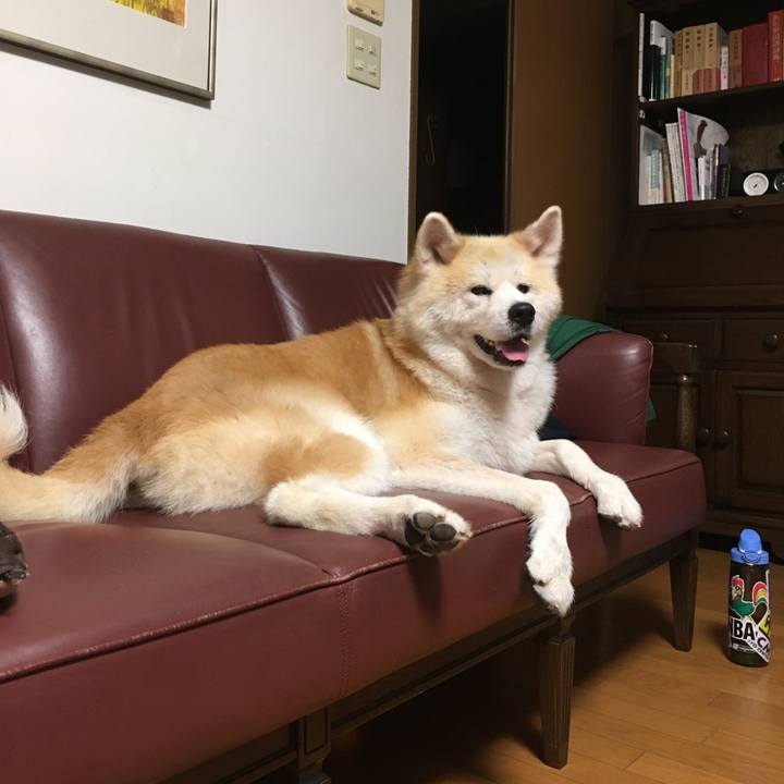 1d5820fb 60c2 49f4 944a 9600f7032d3b