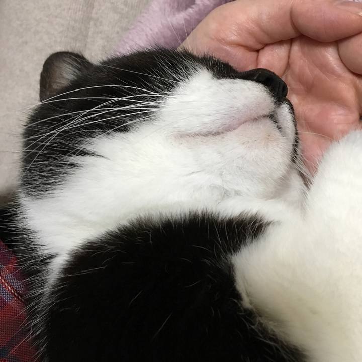 1d58ba41 b660 4491 bca6 1586d5127689