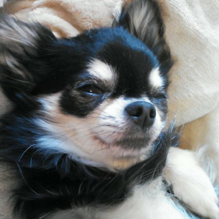 1d58f45d e013 4a9f 826d 9a2cbb2f8570