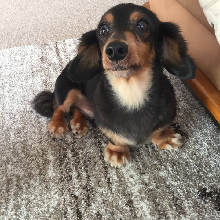 1d590772 4bff 4e00 a1c9 b2fd65388414