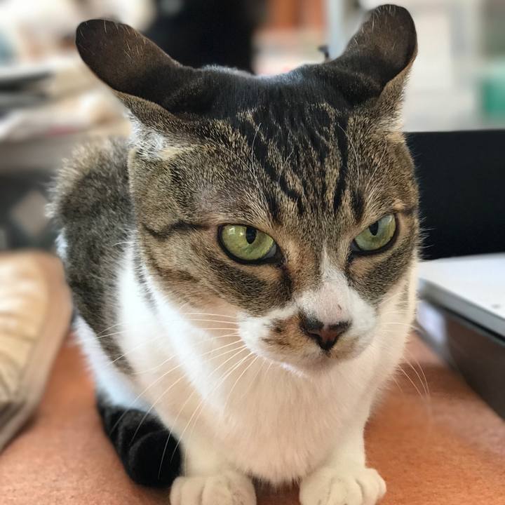 1d598e33 37d9 4c6e 9ef1 5ecd83e405b4