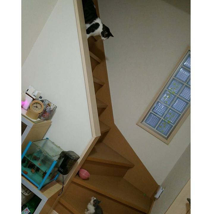 1d5a2499 b08b 4b79 91c2 2a7f4776f022