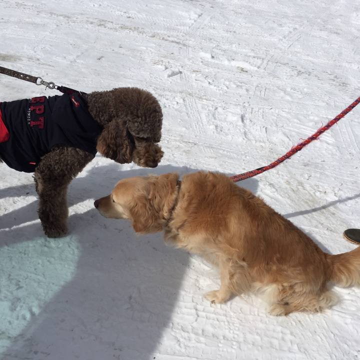 1d5b161b c885 4860 b6f9 93f7466fc168