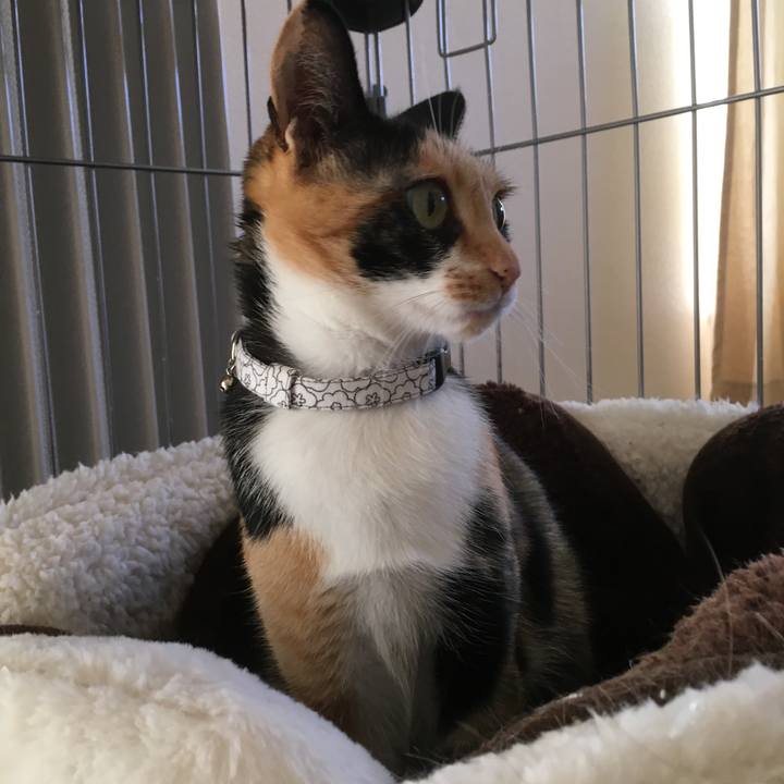 1d5b4410 2922 446f b5f5 debb5762a614