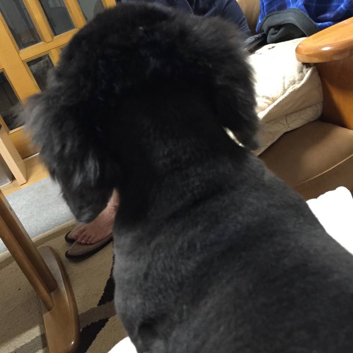 1d5c2fca 1586 49b6 85a3 199995884af8