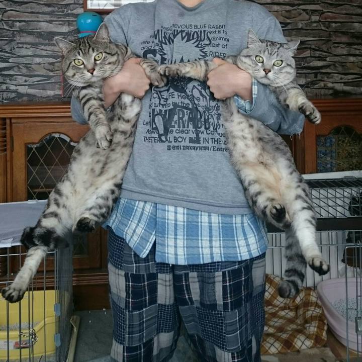 1d5c5693 c769 4a25 87d1 fdb8aca2321a