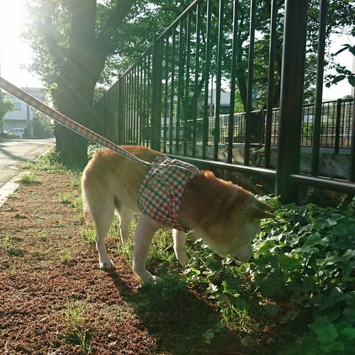 1d5cce2b 499d 447c 8f72 20d33c5b1862