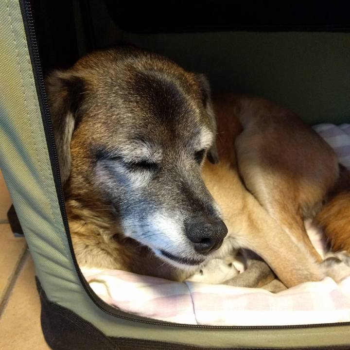 1d5cdc93 3b8e 4817 a0b2 a08af4d1e5ff