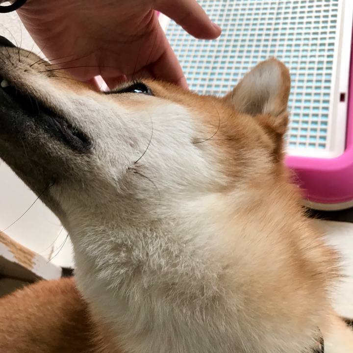 1d5cfb8e b45c 4b19 9aab 5d335855600c