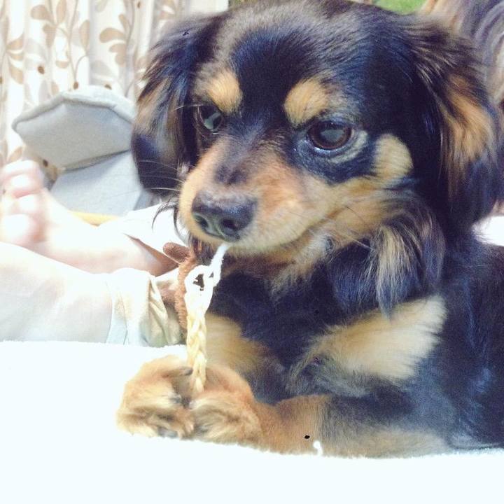 1d5dd19c 5fb1 4cab a261 7474183231d1