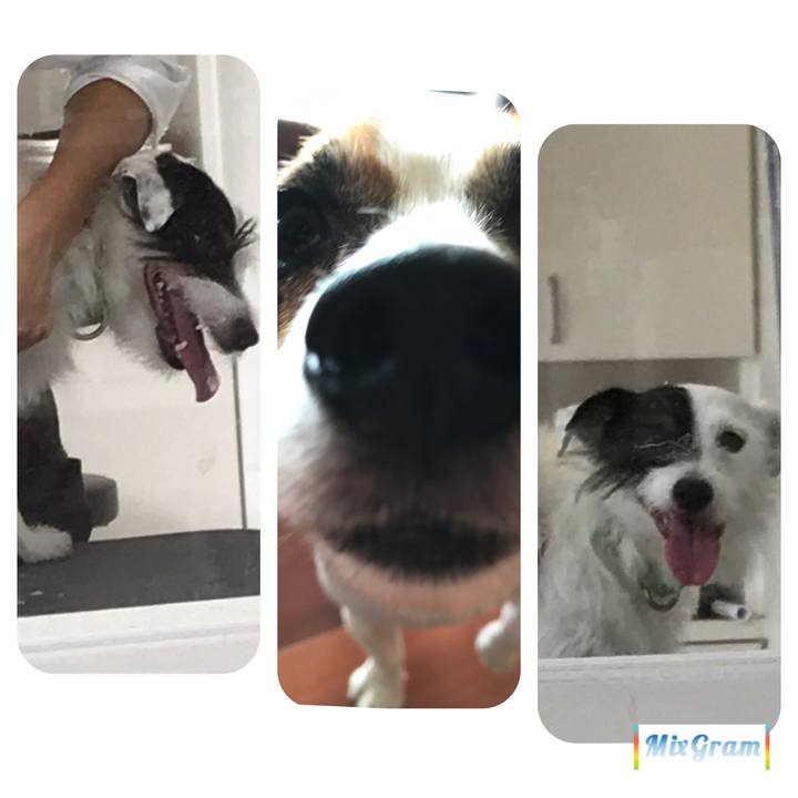 1d5dfcf6 6e67 480c b015 33d562dad27e