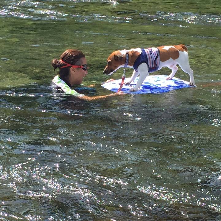 1d5e70bb c351 4890 ba3f 0c14b7b2838c