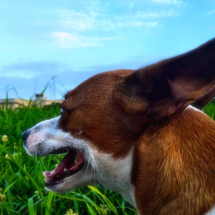 1d5e752f 06a8 49ea a634 d708185c1d3f