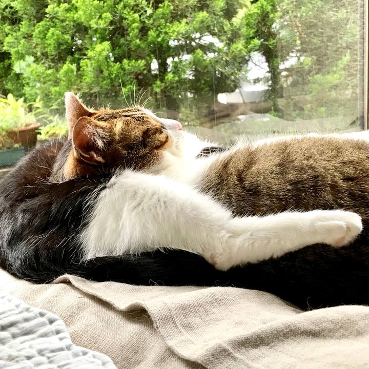 1d5ed15a f84f 46b3 b33f 05477bcbb2dd