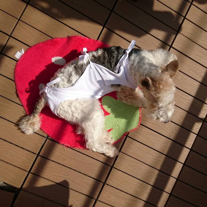 1d5f9c73 4a71 40ab b1d9 152fea533c8c