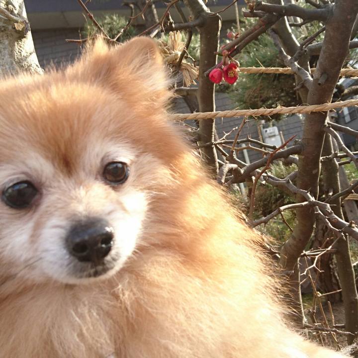 1d5fe6c3 62db 4568 b50a 42d681f4b963