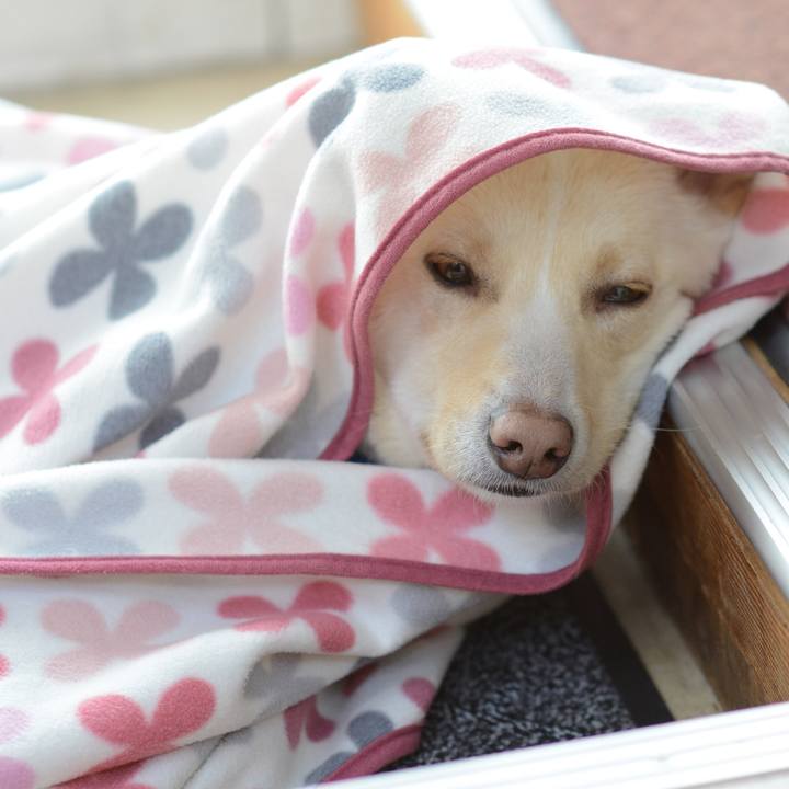 1d5ffa54 35e9 4d20 b5be a9feba2e5842