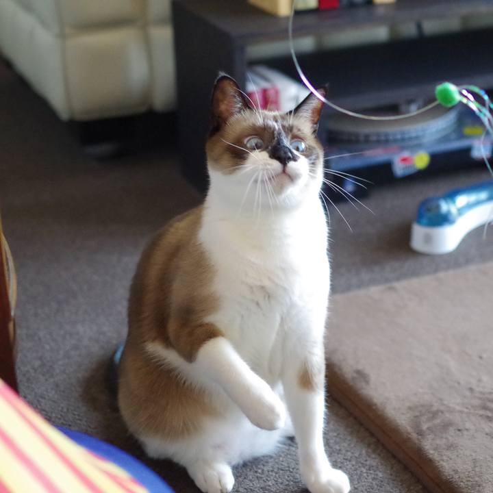 1d60e19c ac80 4f40 8940 aaffc35d3648