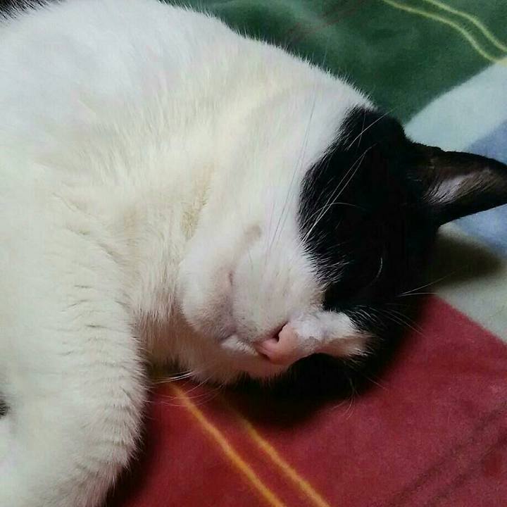 1d615fa7 294e 444b 937f 11dffa637fd8