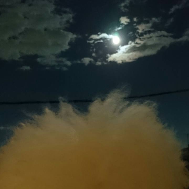 1d616b6c 4978 425d a247 698c8d959093