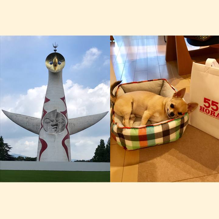 1d619163 fea0 498d 8c2d 7583a8f651fe