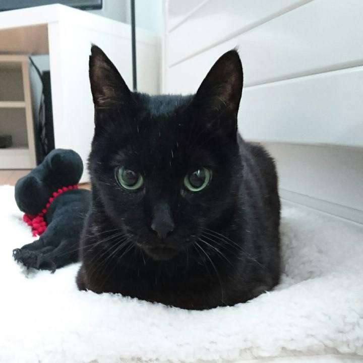 1d61fb64 3687 490c ba6b d367691eb4da